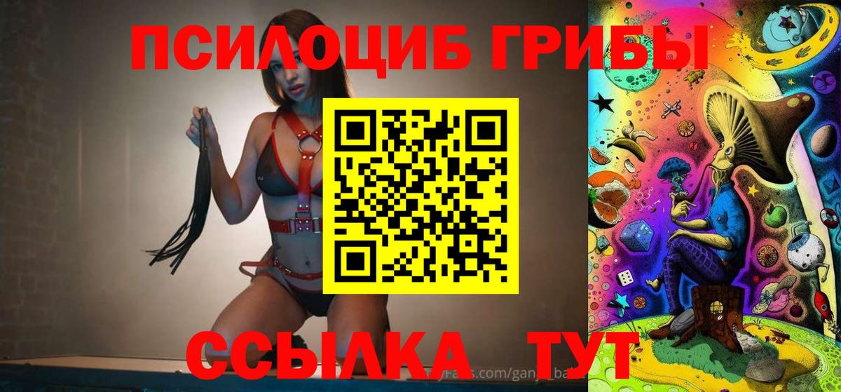 Галлюциногенные грибы Cubensis Владимир