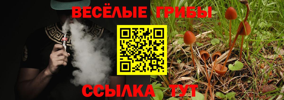 Владимир  Галлюциногенные грибы GOLDEN TEACHER  Вход с VPN 